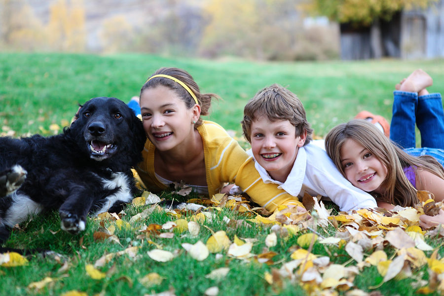 kids and dog fall portrait